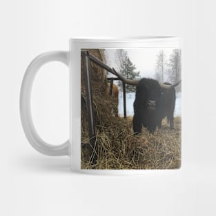 Scottish Highland Cattle Bull 1914 Mug